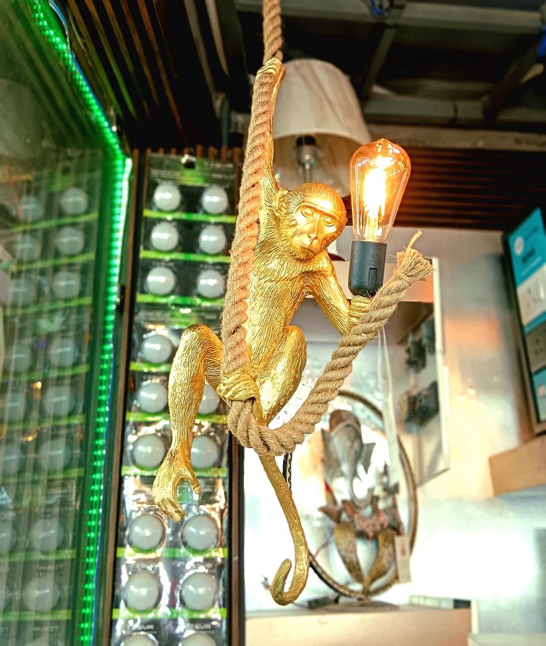 Monkey Hanging Light
