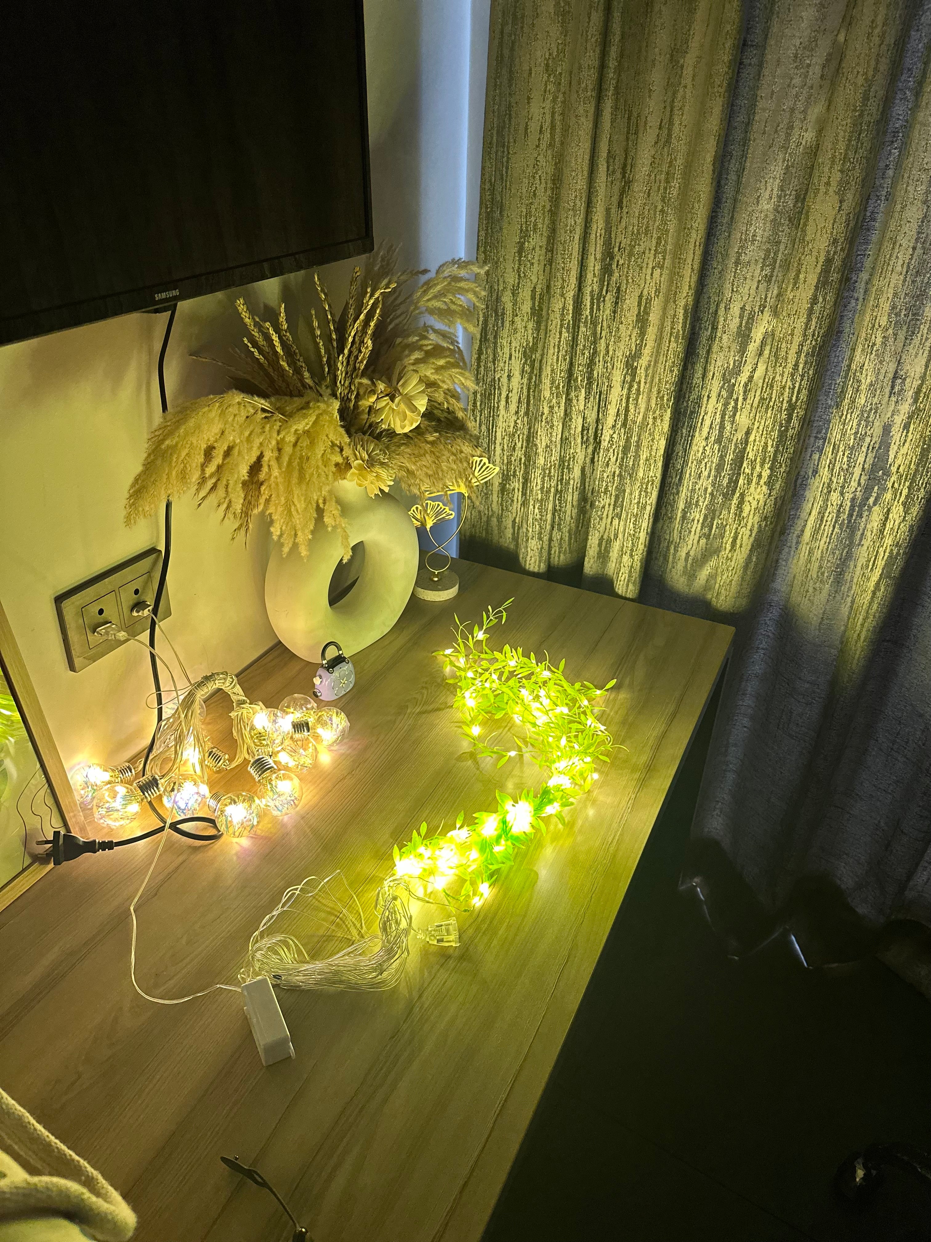 10*3 Leaf Curtain led light